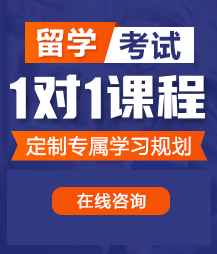 操屄网视频留学考试一对一精品课